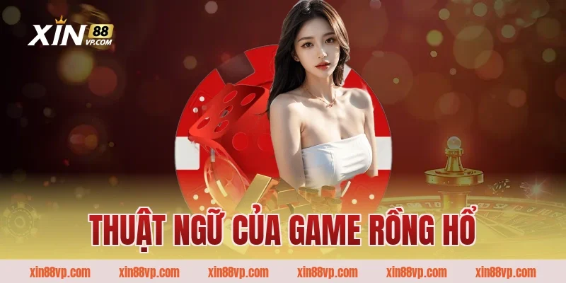 Thuật ngữ của game rồng hổ