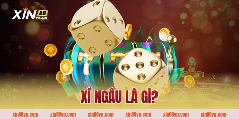 Xí ngầu là gì?